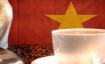 Различные сорта кофе из Вьетнама