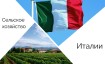 Отрасли специализации сельского хозяйства Италии