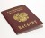 Заполнение заявления на получение гражданства РФ в 2023 году
