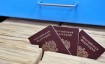 Перечень документов для получения гражданства РФ в 2024 году