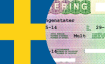 Оформление рабочей визы в Швецию в 2024 году
