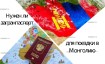 Нужен ли загранпаспорт для поездки в Монголию в 2023 году