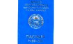 Получение и оформление гражданства Киргизии в марте 2024 года