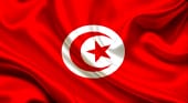 Изображение - Виза в тунис flag-tun