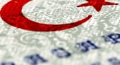 оформление рабочей визы в Турцию