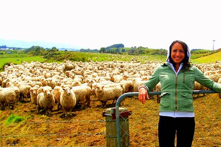 овечья ферма
