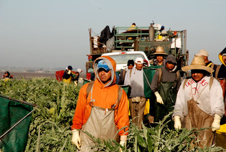мексиканские рабочие