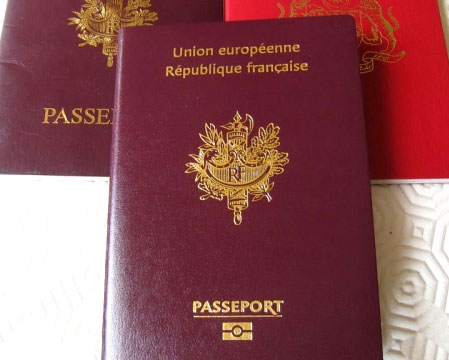Как получить гражданство монако дома в черногории купить недорого