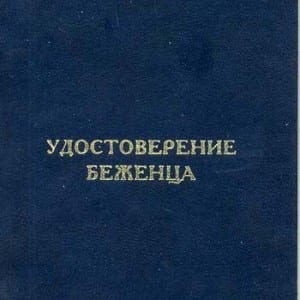 В России приняли закон, упрощающий получение ВНЖ для владельцев «статуса переселенца»