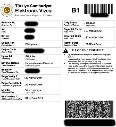Турция электронная виза 