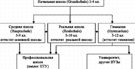 Система образования в германии схема