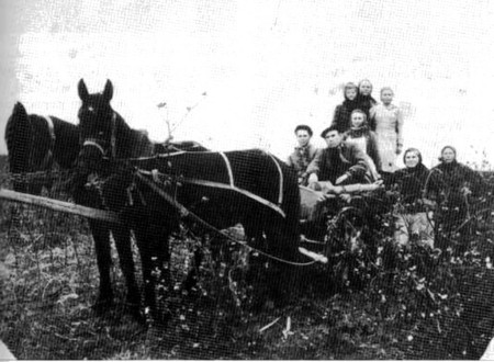 Немцы-спецпоселенцы в Казахстане. 1954 г.