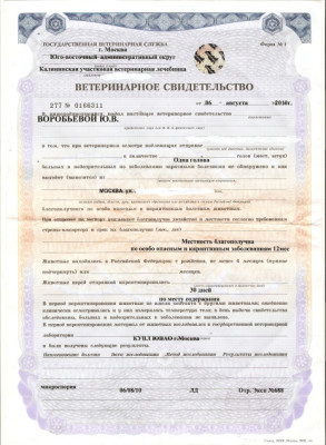 Международный ветеринарный сертификат