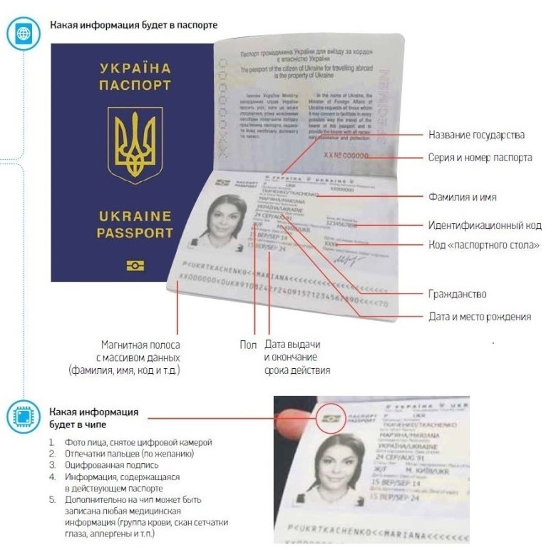 Фото на паспорт и загранпаспорт одинаковые или нет 2022
