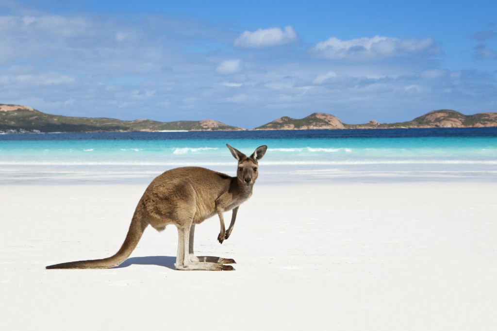 Налогообложение в австралии сколько стоит дом у моря в турции