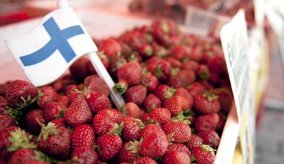 Сбор ягод в Финляндии
