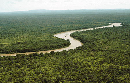 крупная река Гамбия