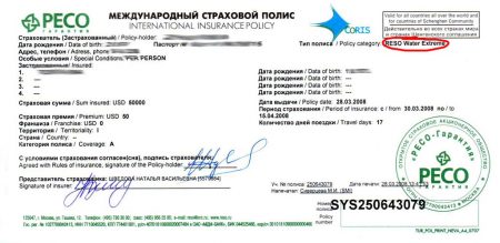 международный страховой полис
