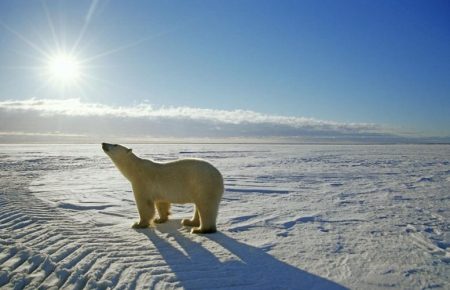 Крайний Север