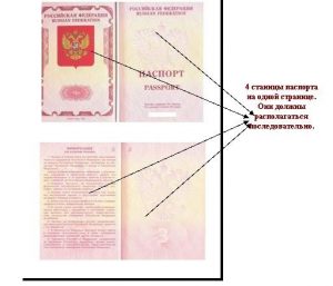 Фото на документы: как правильно фотографироваться на белорусский паспорт?