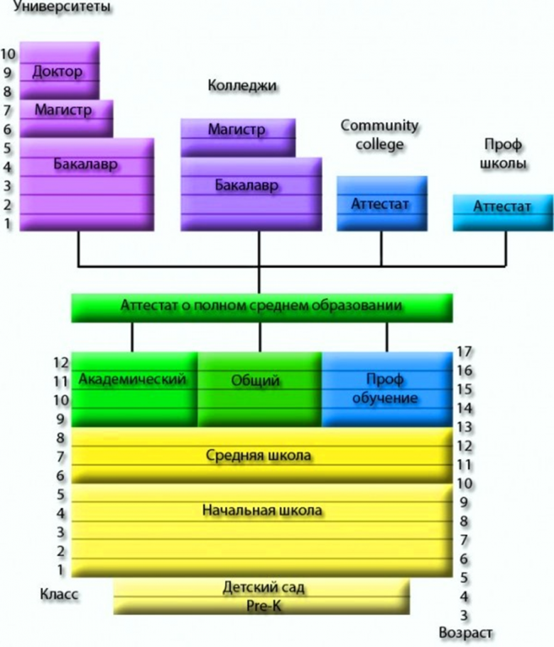 Высшее образование схема