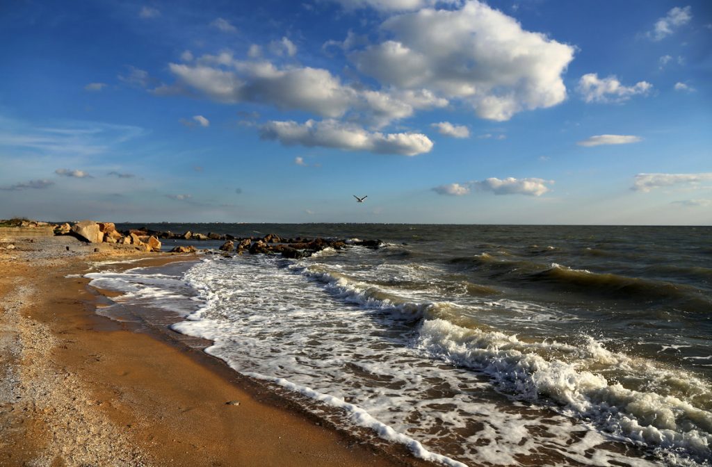 Азовское море пляж в голубицкой фото