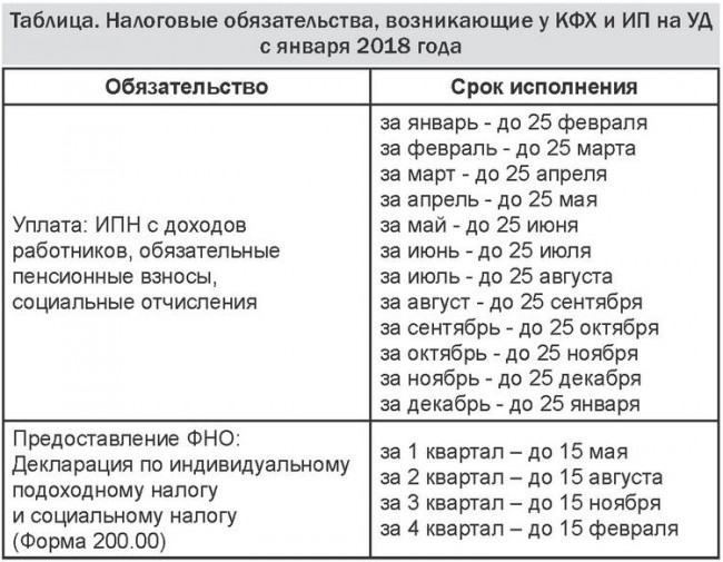 Какие налоги платят ИП в Казахстане