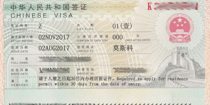 виза Z в Китае
