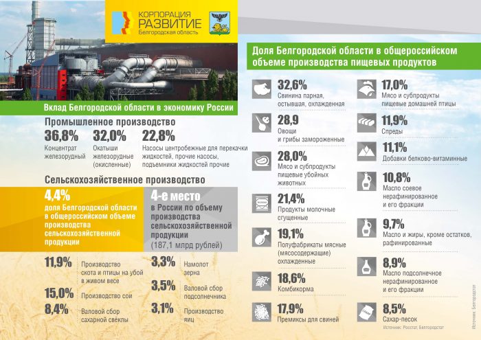 Вклад Белгородской области в экономику России