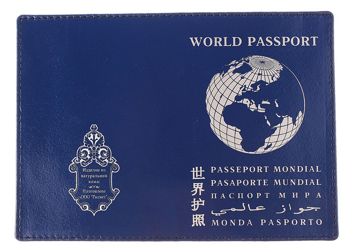 Паспорт гражданина мира: как получить в России и что дает в 2022 году