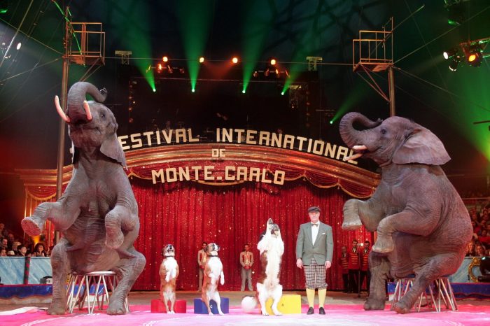 Цирк в Монте -Карло