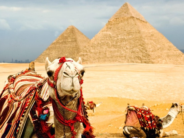 Последние отзывы об отелях Египта от