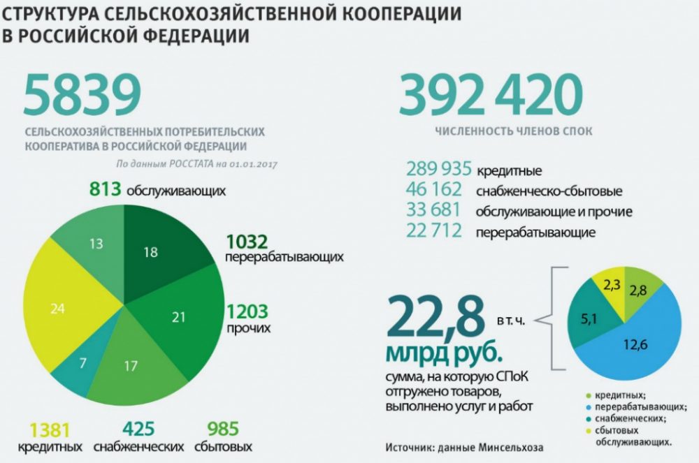 Экономические проекты россии