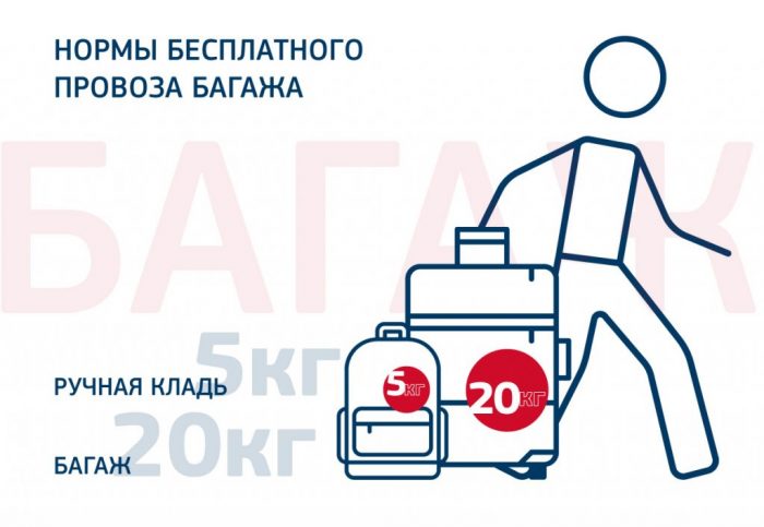 1512585967 baggage perevozka bagazha