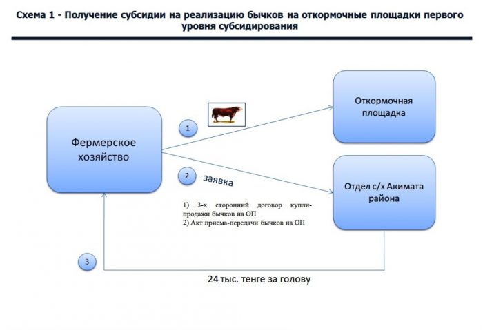 Схема получения субсидии в Казахстане