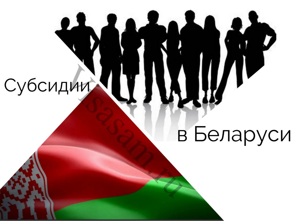 Субсидии в Беларуси