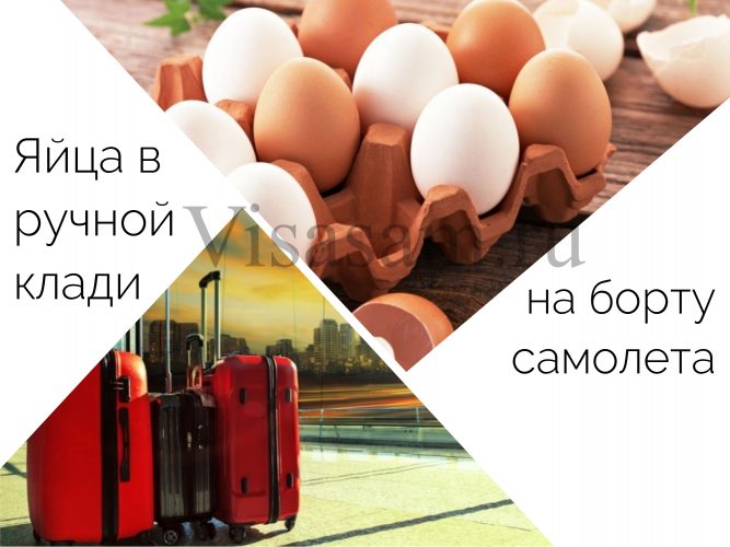 в чем можно перевезти яйца. Смотреть фото в чем можно перевезти яйца. Смотреть картинку в чем можно перевезти яйца. Картинка про в чем можно перевезти яйца. Фото в чем можно перевезти яйца