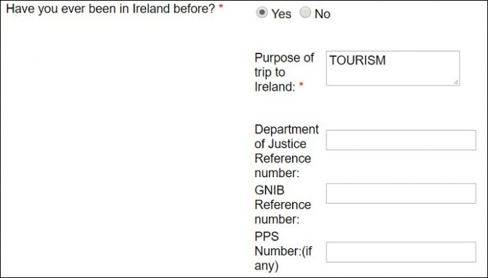 заполнение анкеты на визу Ирландии. Шаг 8