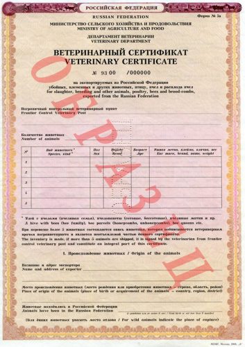 Международный сертификат формы 5А