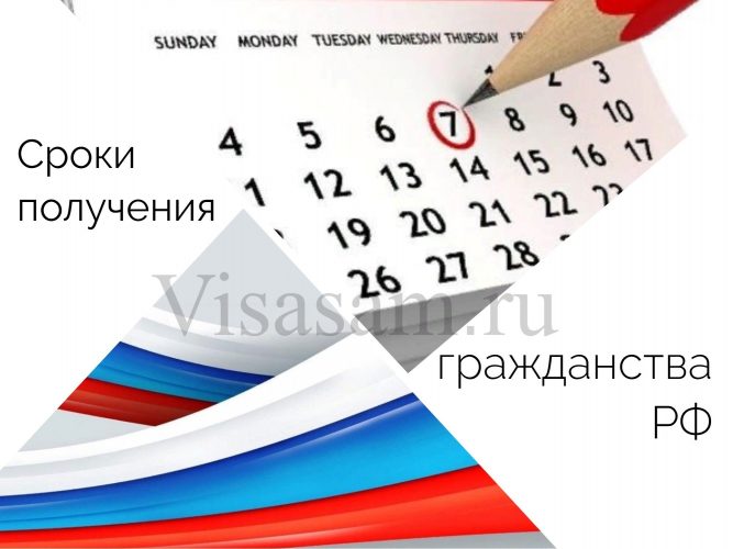 Сроки получения гражданства РФ