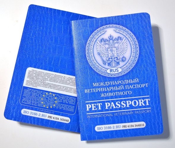 Ветеринарный паспорт