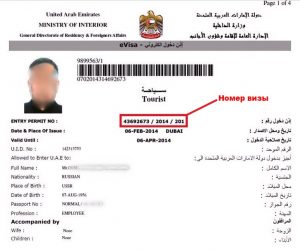 услуги по получению визы в оаэ