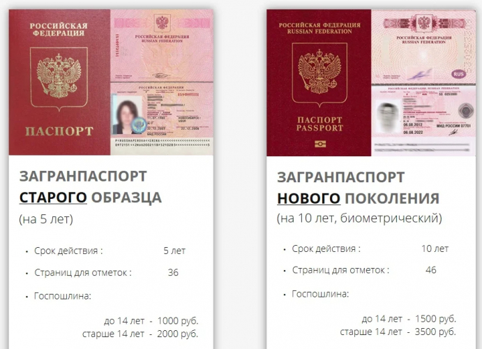 Как получить свидетельство о российском гражданстве в 2022 году