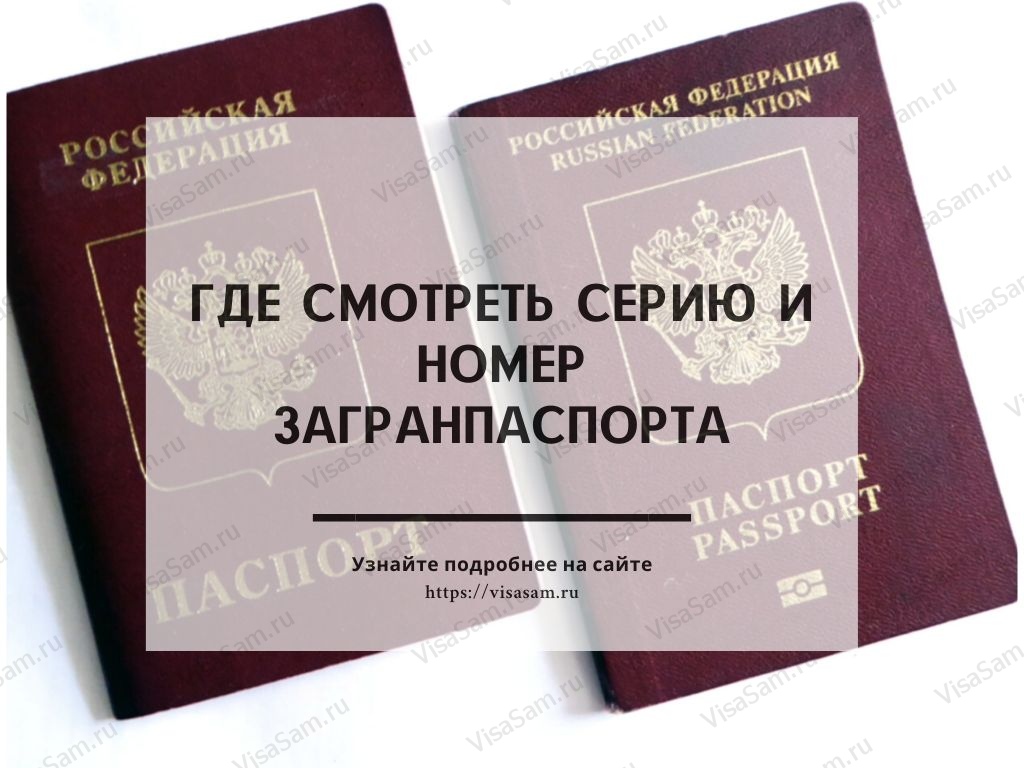 Последние Цифры В Паспорте Под Фото