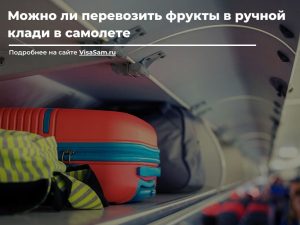 Можно ли в самолете перевозить шампунь гели духи планшет