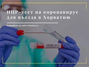 Как узнать результаты пцр в московской области на коронавирус на компьютере