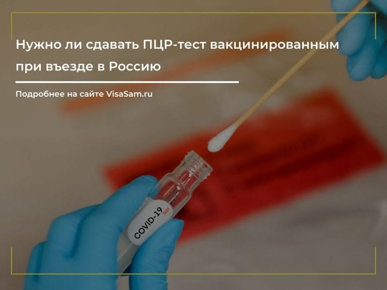 Сколько действителен пцр тест на коронавирус при пересечении границы белоруссии