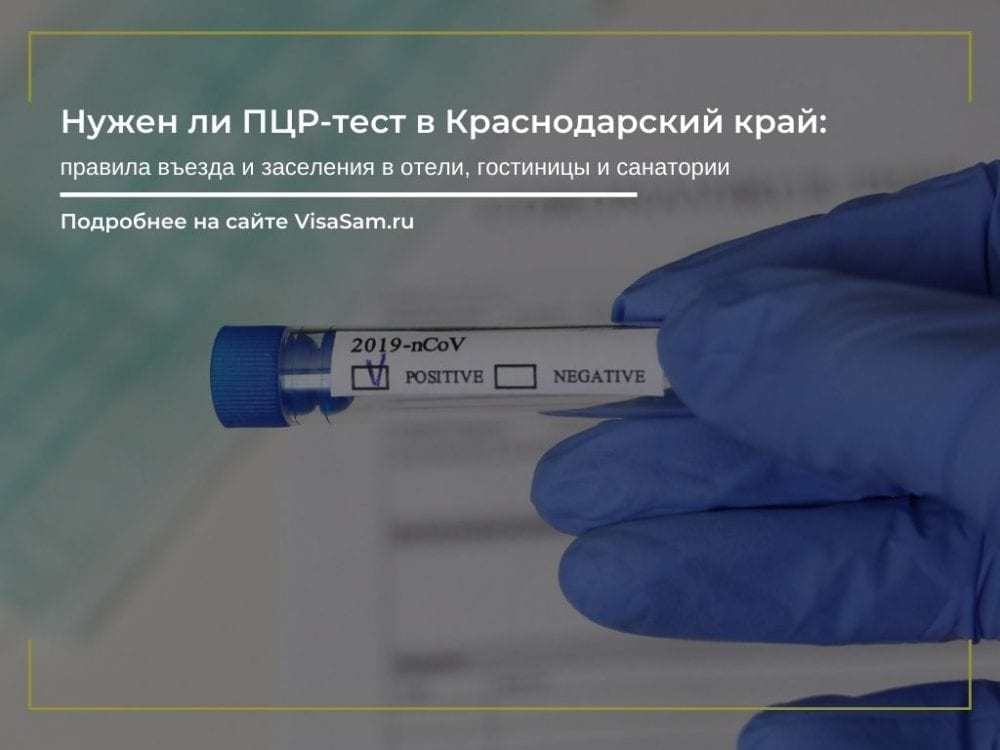 Достаточно ли бумажного сертификата о вакцинации для поездки в краснодарский край