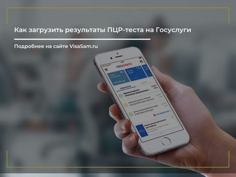 Как загрузить результаты пцр теста на госуслуги с мобильного телефона